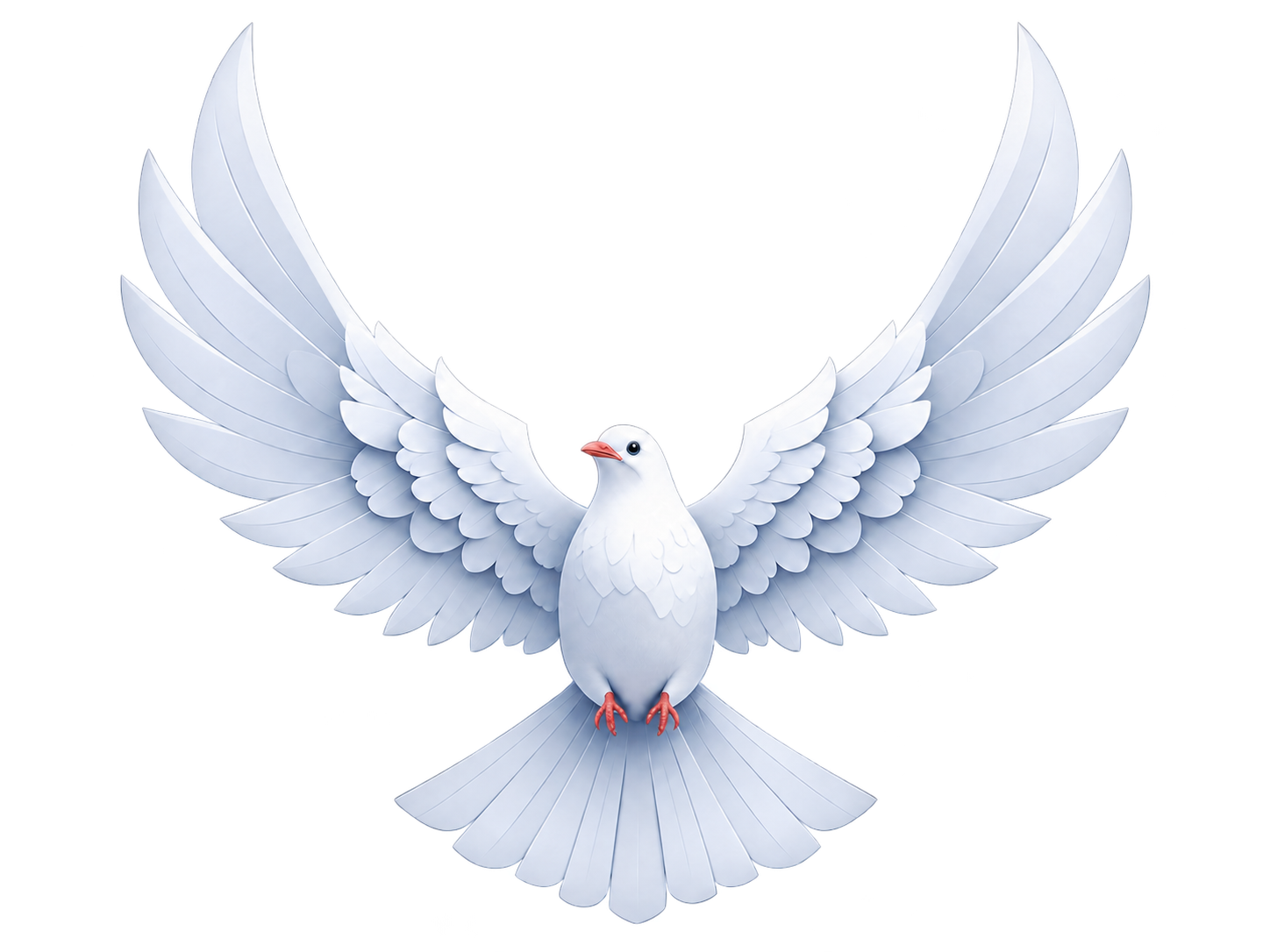 White dove with outstretched wings